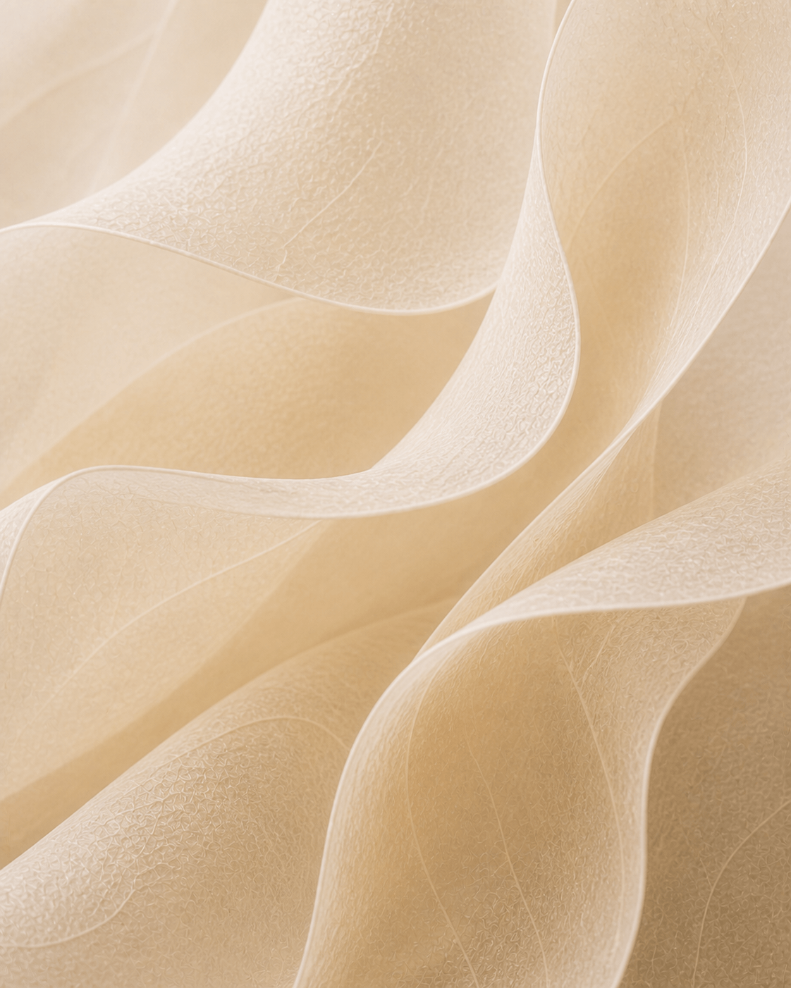 MERA translucent vellum paper material study
